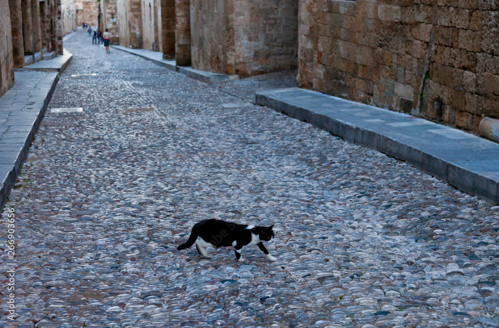 Calle medieval de los Caballeros, Barrio de los Caballeros o Collachum en la ciudad medieval, Ciudad de Rodas, Isla de Rodas, Dodecaneso, Grecia, Mar Mediterráneo Calle medieval de los Caballeros, Barrio de los Caballeros o Collachum en la ciudad medieval, Ciudad de Rodas, Isla de Rodas, Dodecaneso, Grecia, Mar Mediterráneo