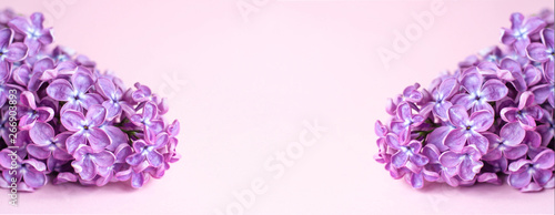 Banner for a site or facebook with branches of purple lilac.