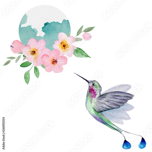 Watercolor Hummingbird Flying Around the Cherry Blossoms Flowers. © arty_lee