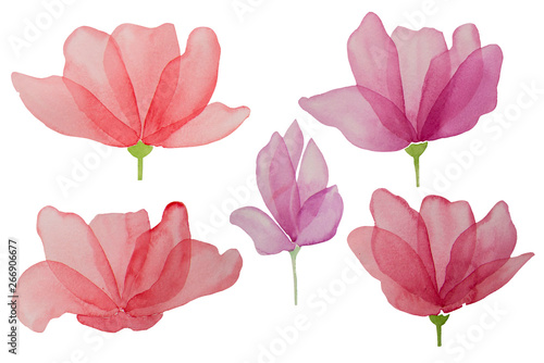 Watercolor hand drawn flowers isolated on a white background. Design element.