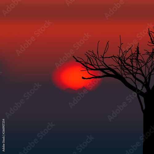 vector nature evening tree