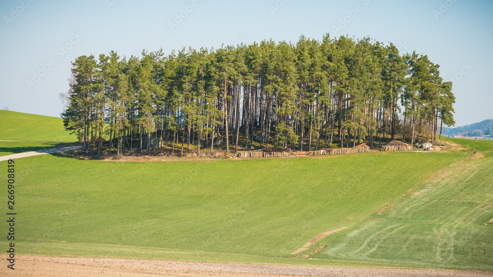 Fototapeta premium Waldviertel 2019