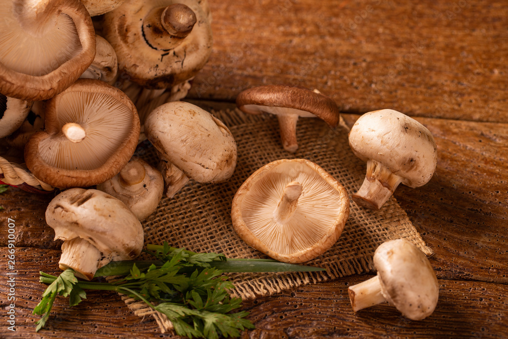 Paris or champignon and Shitake Mushroom on Wood Background Paris or champignon and Shitake Mushroom on Wood Background