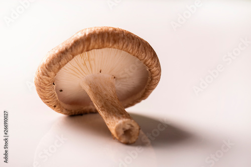 Various types of mushrooms on a wooden table