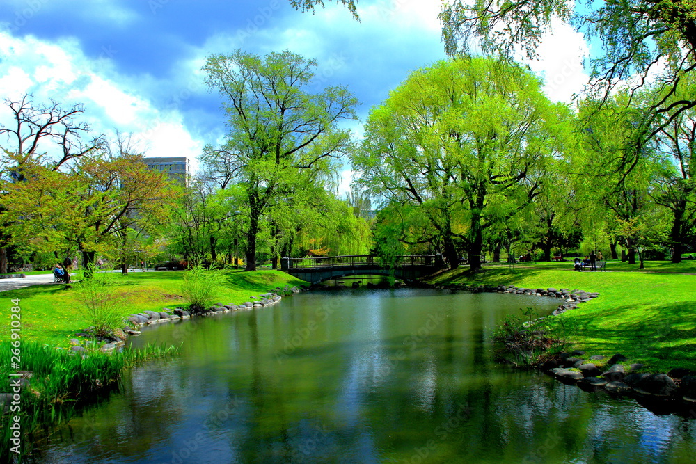 Φωτογραφία 札幌中島公園の春の風景