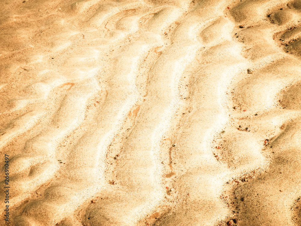 Sea shore as nature background. Sea shore as nature background.