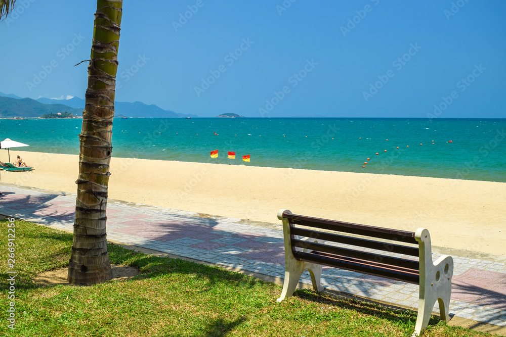 Lonely bench on beach with green trunk of palm and flags