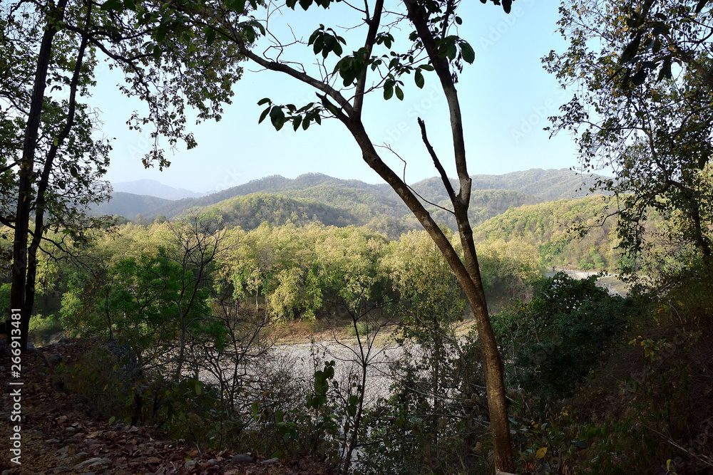beautiful Corbett tiger reserve forest beautiful Corbett tiger reserve forest