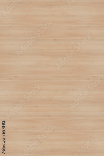 wood timber tree wooden backdrop structure texture background wallpaper