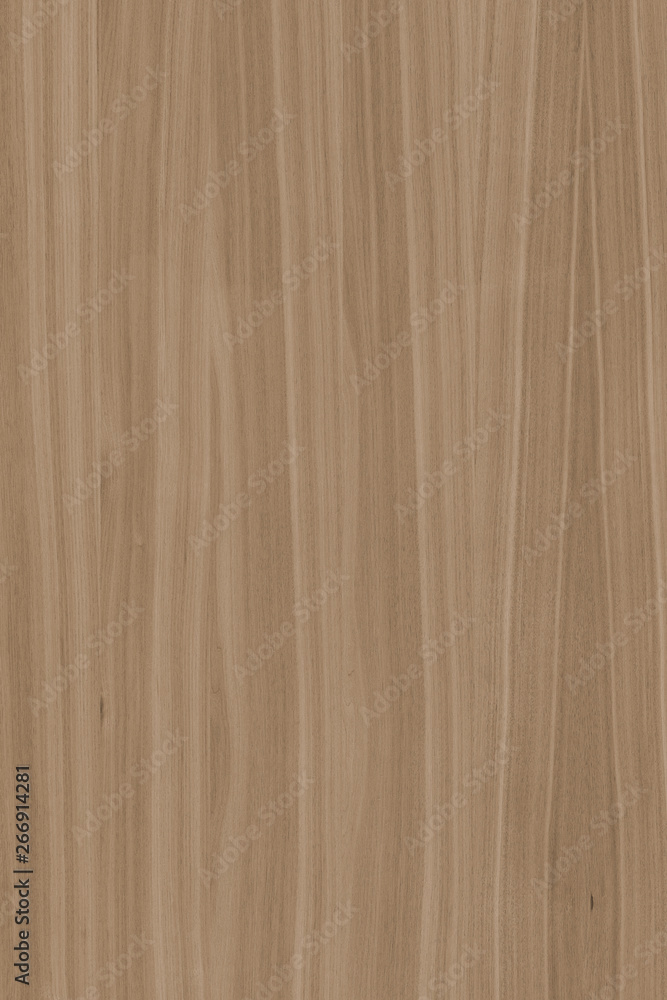 wood timber tree wooden backdrop structure texture background wallpaper wood timber tree wooden backdrop structure texture background wallpaper
