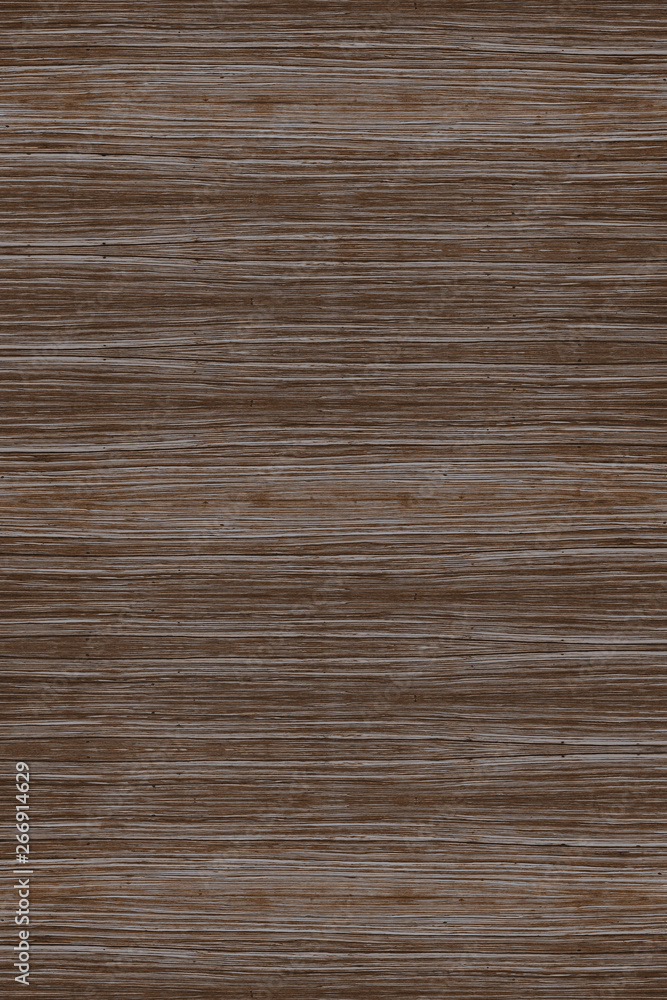 Fototapeta premium wood timber tree wooden backdrop structure texture background wallpaper