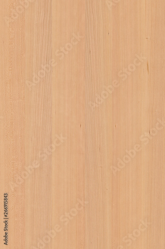 Fototapeta Naklejka Na Ścianę i Meble -  wood timber tree wooden backdrop structure texture background wallpaper