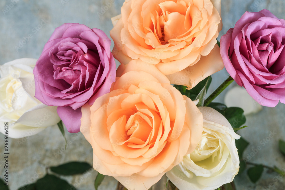 Beautiful and fragrant roses Beautiful and fragrant roses