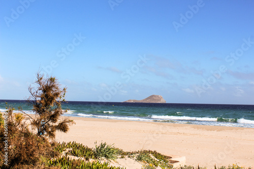 Beach Landscape Detail