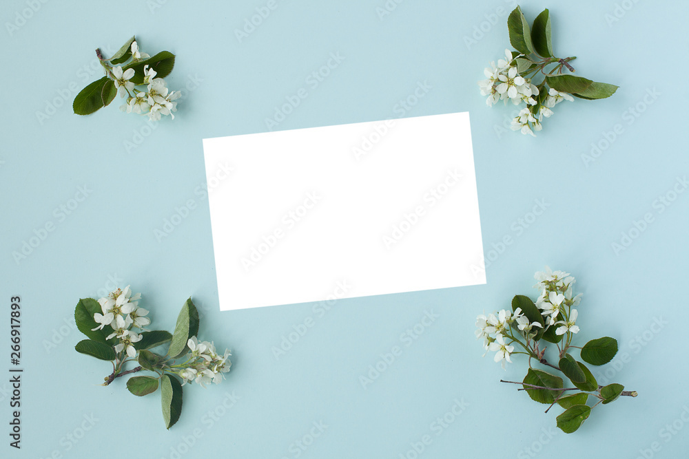 flat branch of a bird cherry and a blank white sheet on a blue background, top view. layout