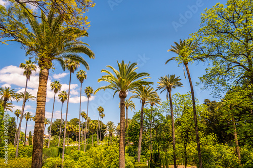 Real Alcazar Gardens in Seville Andalucia Spain