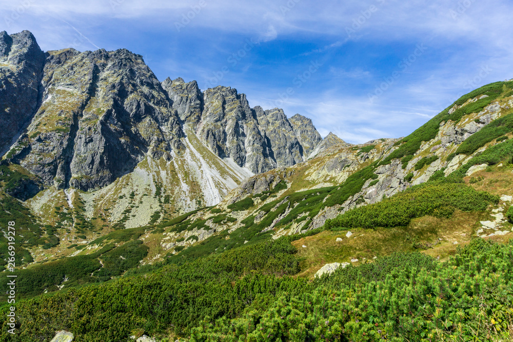 A beautiful landscape of Mengusovska dolina. High Tatra Mountains. Slovakia.