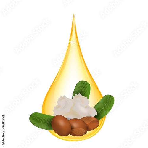 Shea butter isolated white background. Vector
