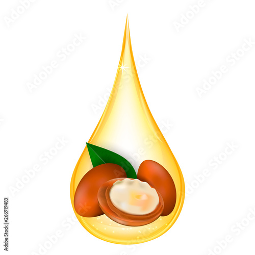 Argan oil isolated on white background. Vector