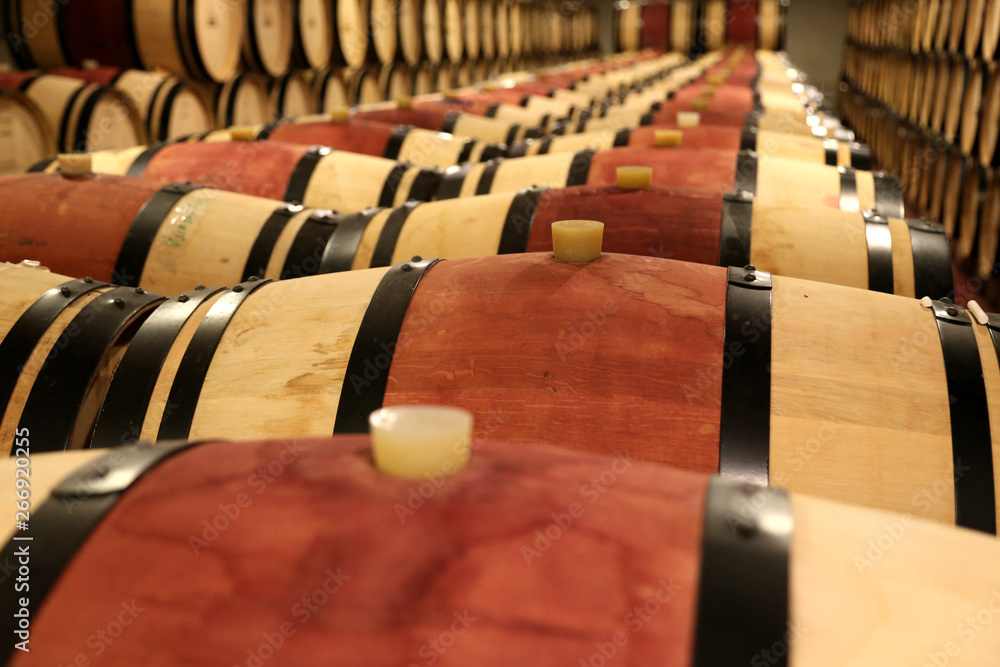 Foto Red wine casks in a row in vine cellar