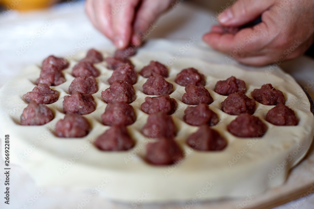 Culinary workshop. How to make dumplings (pelmeni in russian) Culinary workshop. How to make dumplings (pelmeni in russian)