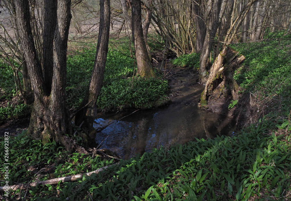 Der Rohrbach bei Oppenweiler, Schwäbisch-Fränkischer Wald Der Rohrbach bei Oppenweiler, Schwäbisch-Fränkischer Wald