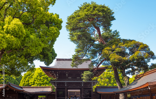 Tokyo, a mixture of modernity and tradition