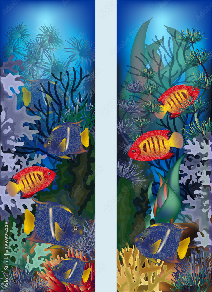 Underwater vertical banners with tropical fish, vector illustration