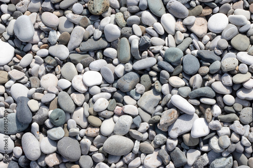 Photography Stone round sea multi-colored