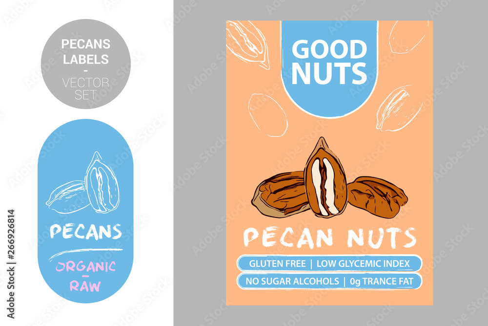 Pecan nuts labels with brush stroke elements. Cartoon drawn pecans. product Badge with text