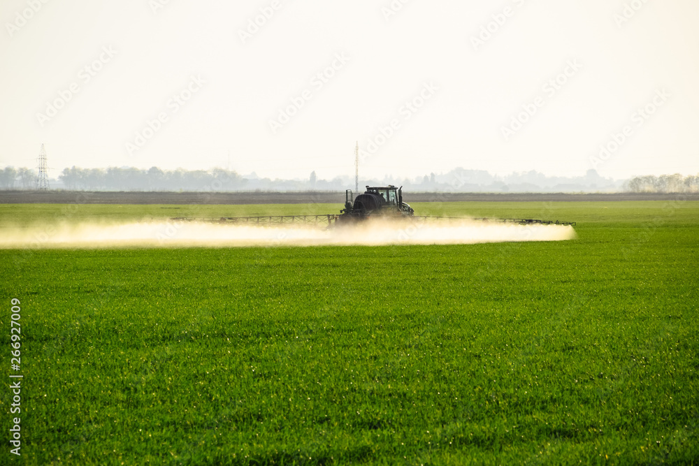 Fototapeta premium tractor with the help of a sprayer sprays liquid fertilizers on young wheat in the field.