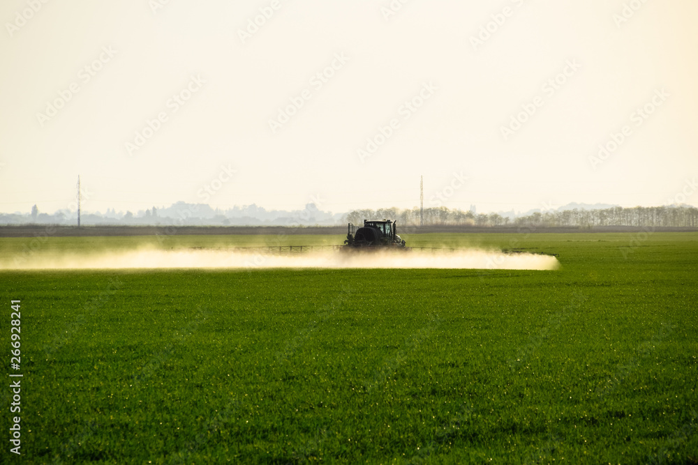 tractor with the help of a sprayer sprays liquid fertilizers on young wheat in the field. tractor with the help of a sprayer sprays liquid fertilizers on young wheat in the field.