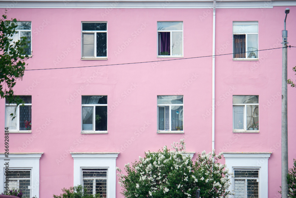 Obraz premium The pink facade of the building with windows is a bright background for flowering lilac bushes near this building. Residential building of bright color in a small town.