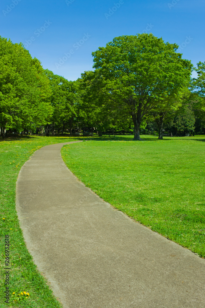 garden path