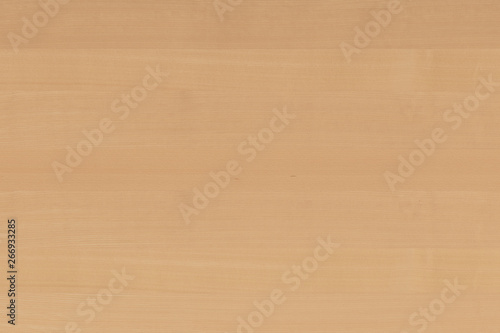 light brown tree wood wallpaper structure texture background pattern