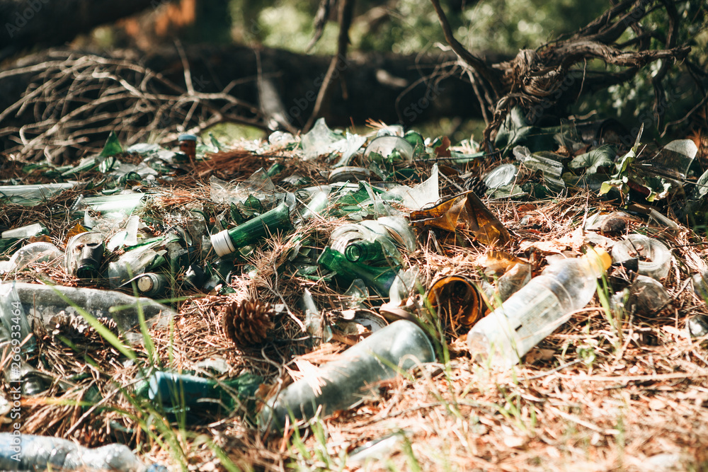Pollution of the environment. Garbage pile in the forest. Waste or debris on the ground. Pollution of nature. Pollution of the environment. Garbage pile in the forest. Waste or debris on the ground. Pollution of nature.