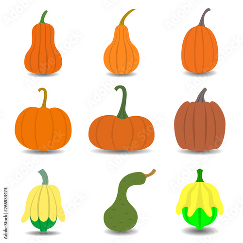 Flat design pumpkin set