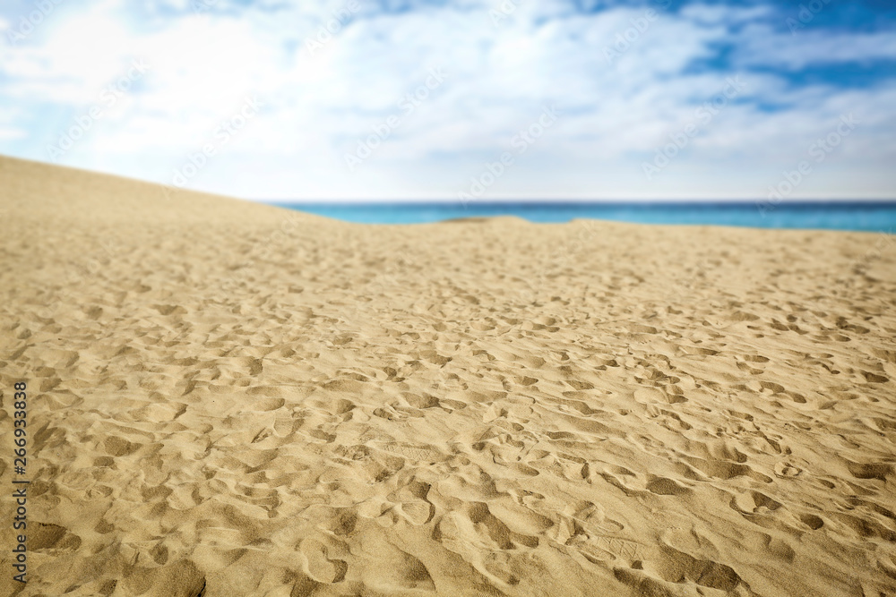 Summer background of free space for your decoration and ocean landscape 