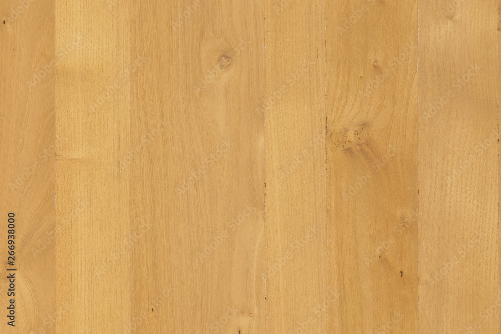 natural light brown oak tree timber wood structure texture backdrop surface natural light brown oak tree timber wood structure texture backdrop surface