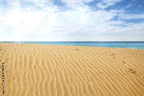 Summer background of free space for your decoration and ocean landscape 