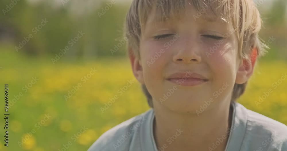 Cute smiling face of a blond hair boy, on the meadow. Happy child on camomile field, closeup view. Pretty caucasian boy on a spring meadow and looks at camera. Cute smiling face of a blond hair boy, on the meadow. Happy child on camomile field, closeup view. Pretty caucasian boy on a spring meadow and looks at camera.