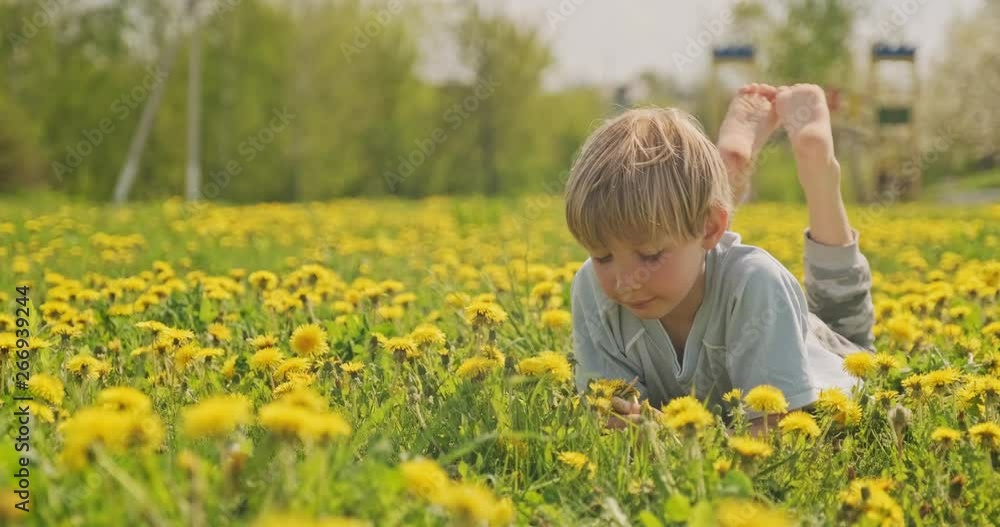 Pretty caucasian boy lying on a spring meadow and looks. Happy child lies on camomile field, closeup view. Cute smiling face of a blond hair boy, on the meadow. Happiness and childhood. Slow motion Pretty caucasian boy lying on a spring meadow and looks. Happy child lies on camomile field, closeup view. Cute smiling face of a blond hair boy, on the meadow. Happiness and childhood. Slow motion