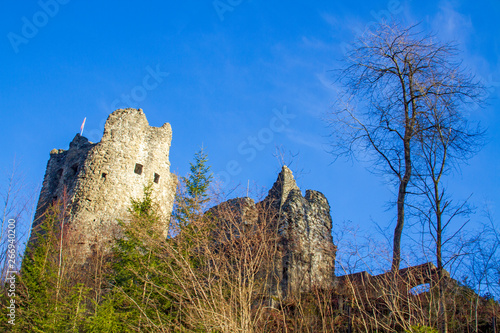 Burgruine - Immenstadt - Laubenberg - Laubenberger Stein photo