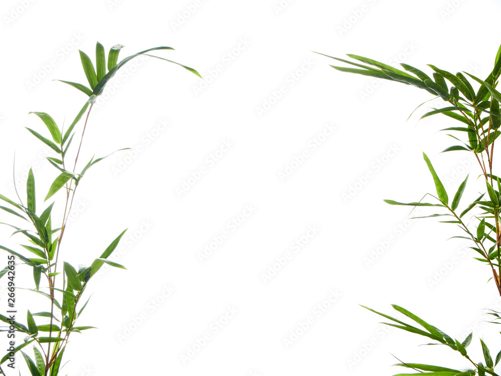 Asian natural background with bamboo Asian natural background with bamboo