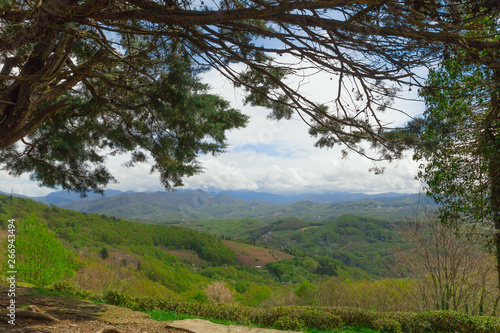 scenic view on mountains green hills and cloudy sky through trees branches