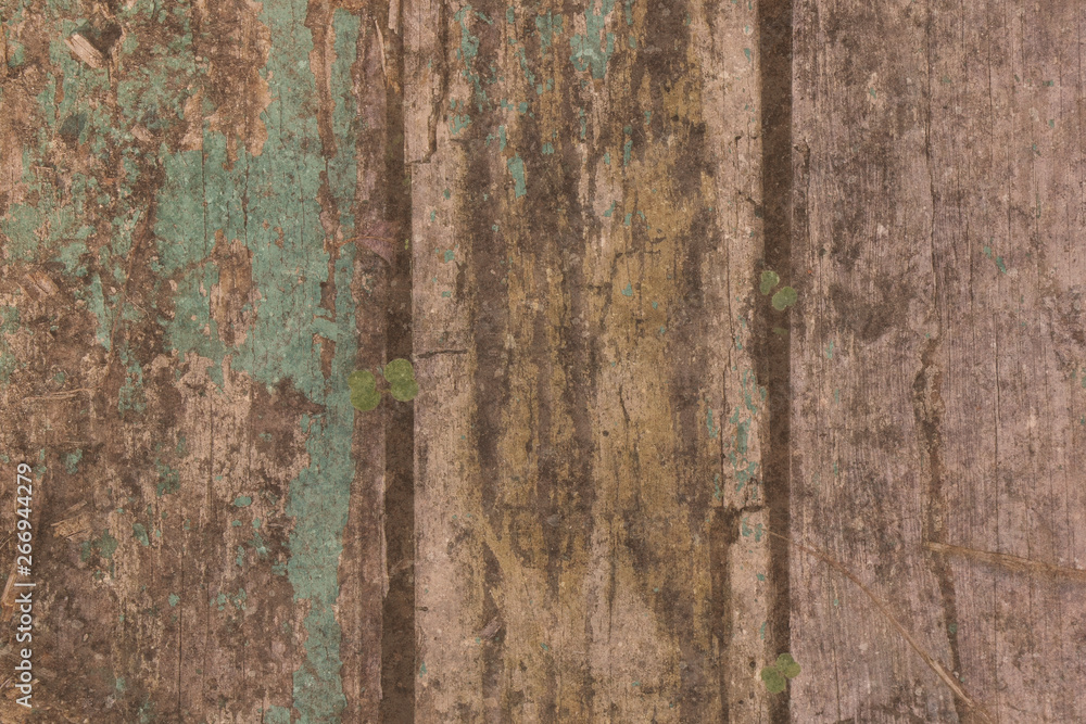 Fototapeta premium old vintage grunge fisher boat barn tree wood structure texture background