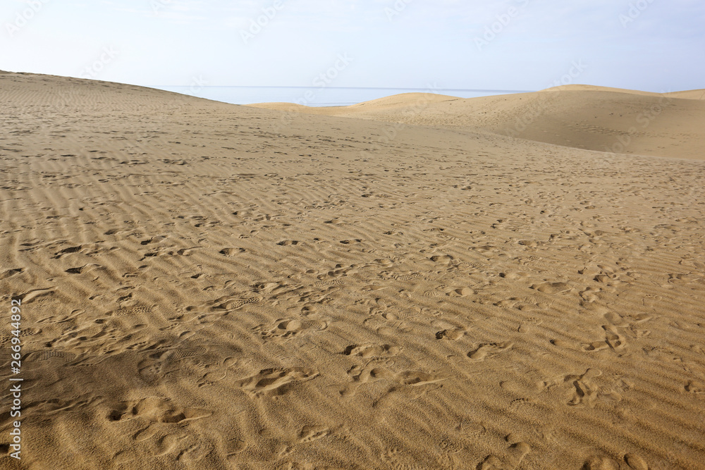 Fototapeta premium Summer background of free space for your decoration and ocean landscape. Summer time 