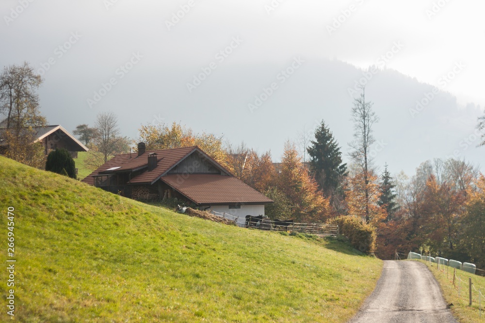 road with view of mountains in Switzerland. village