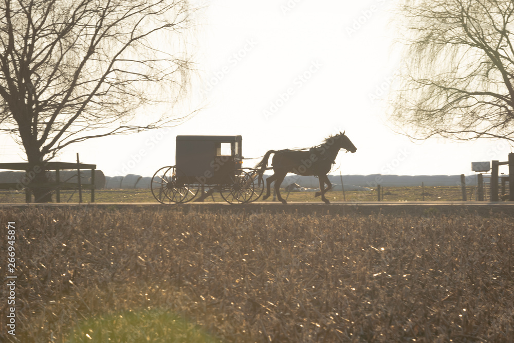 Amish buggy drawn by a trotting horse, Lancaster County, PA Amish buggy drawn by a trotting horse, Lancaster County, PA