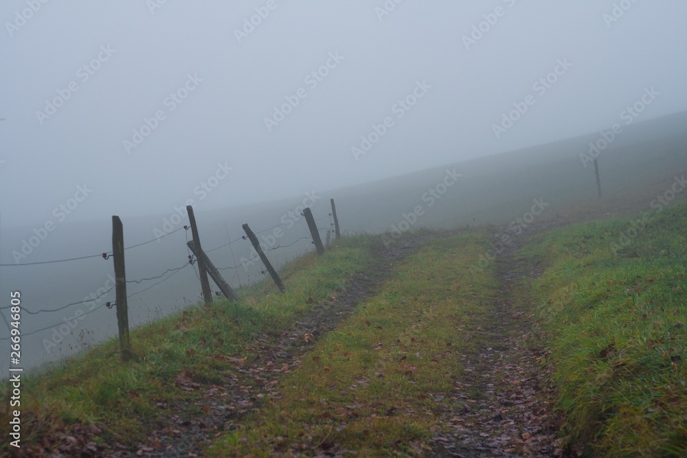 Obraz premium Foggy Trail. Autumn. Switzerland. road in mysterious fog. 